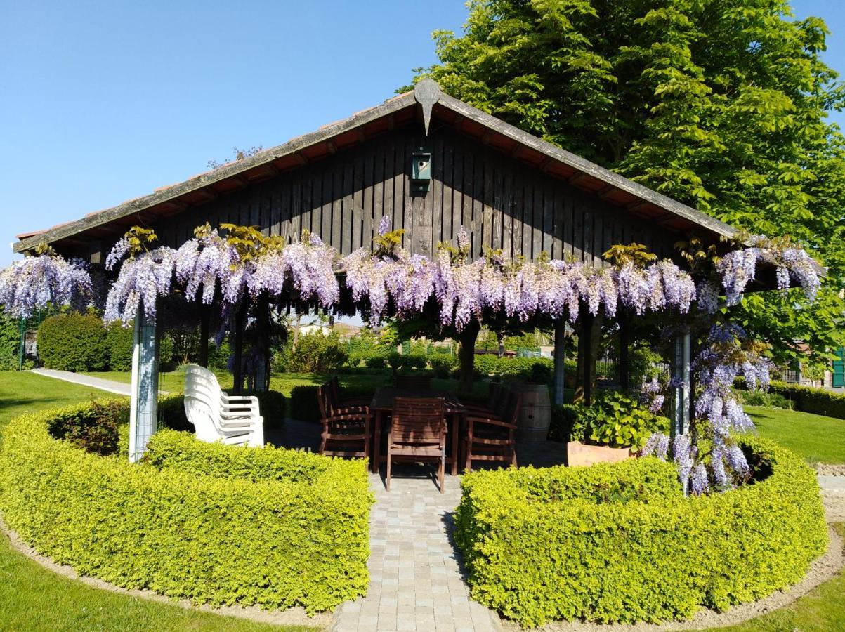 'T Hooghe Licht Bed & Breakfast 佐内贝克 外观 照片