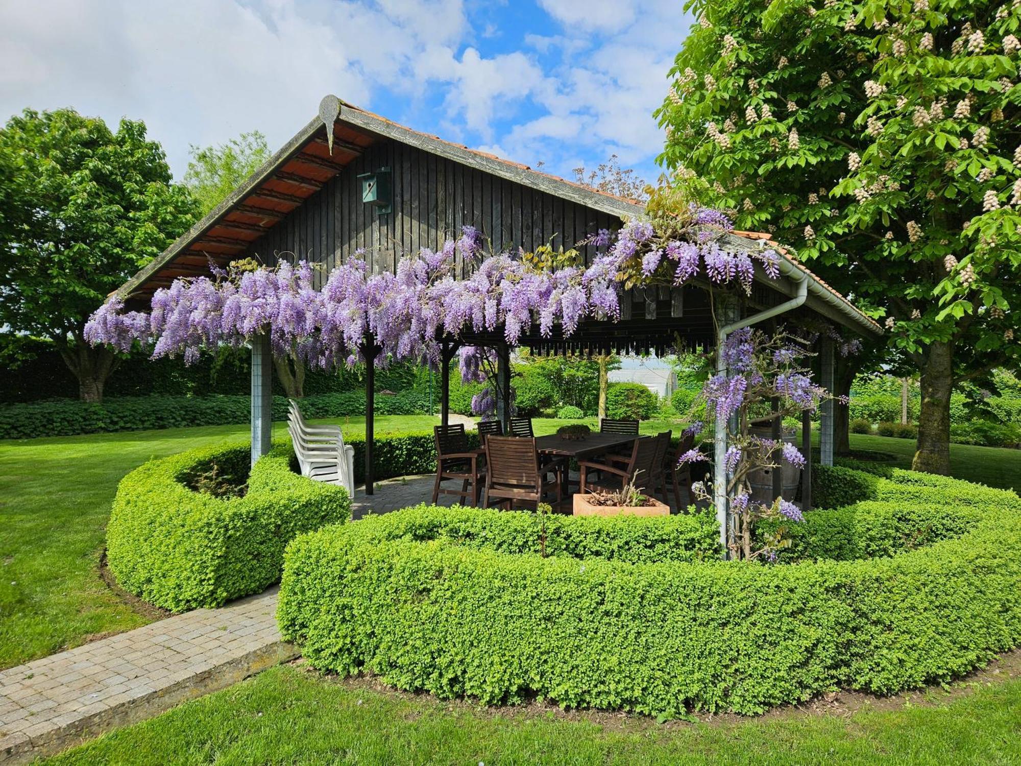 'T Hooghe Licht Bed & Breakfast 佐内贝克 外观 照片